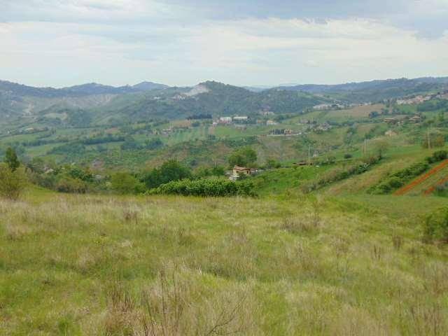 Terreno in vendita a Fiorentino