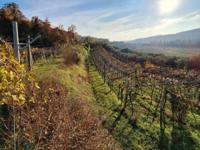 Terreno in vendita a San Martino Buon Albergo, Veneto