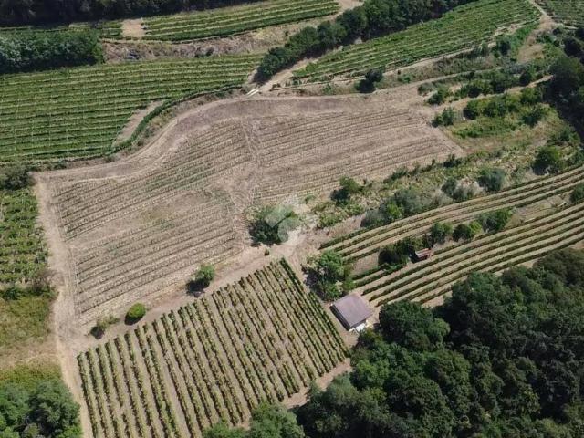 Terreno in vendita a San Martino Buon Albergo, Veneto