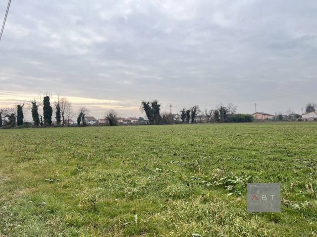 Terreno in vendita a San Martino Di Lupari, Veneto