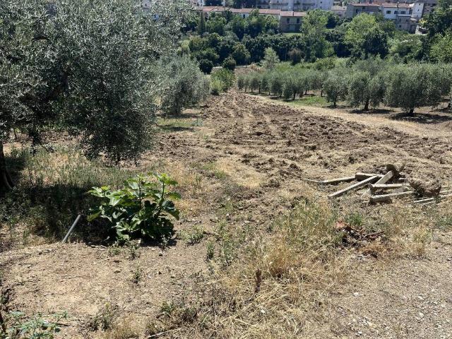 Terreno in vendita a San Martino Sannita, Campania
