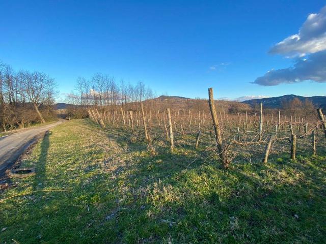 Terreno in vendita a San Martino Valle, Campania