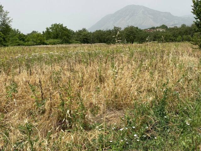 Terreno in vendita a San Martino Valle, Campania