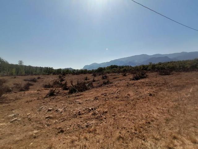 Terreno in vendita a San Martino Valle, Campania