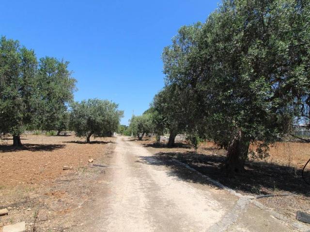 Terreno in vendita a Puglia, Taranto