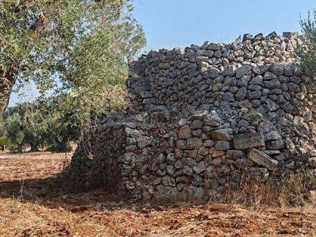 Terreno in vendita a Puglia, Brindisi