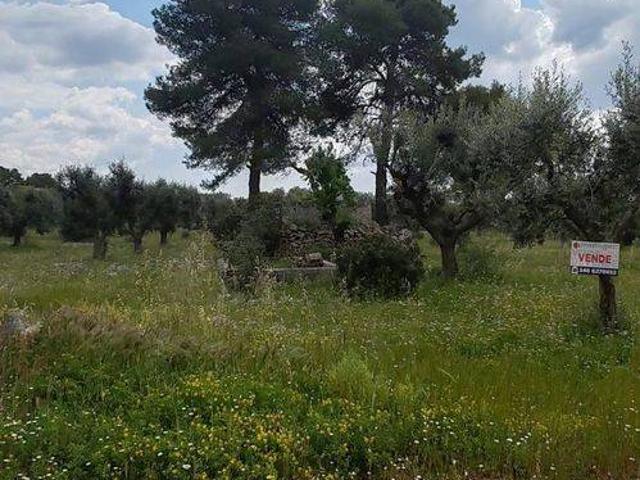 Terreno in vendita a Puglia, Taranto