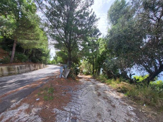 Terreno in vendita a San Mauro Cilento, Campania