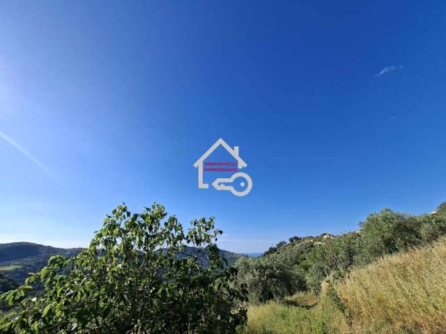 Terreno in vendita a San Mauro Cilento, Campania