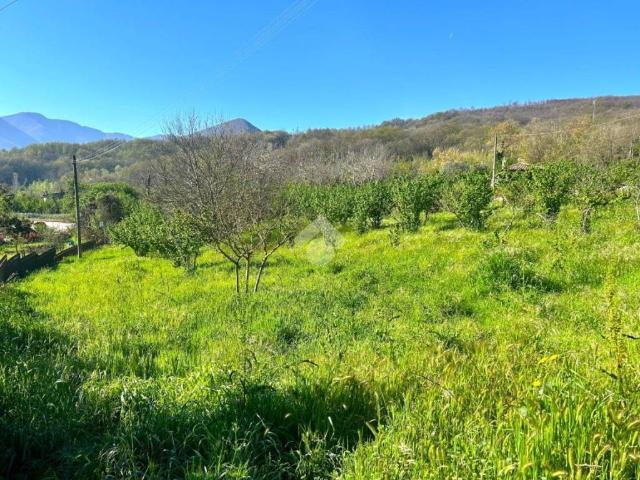 Terreno in vendita a San Michele Di Serino, Campania
