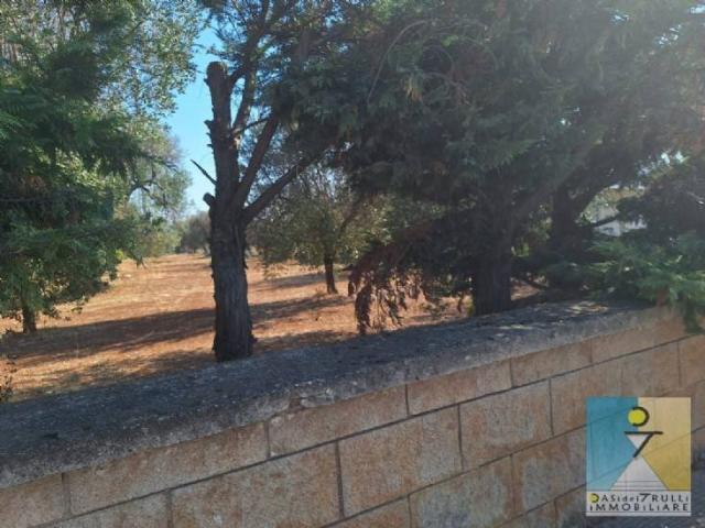Terreno in vendita a Puglia, Brindisi