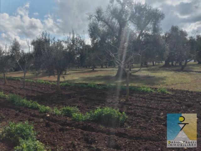 Terreno in vendita a Puglia, Brindisi