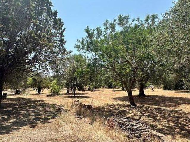 Terreno in vendita a Puglia, Brindisi