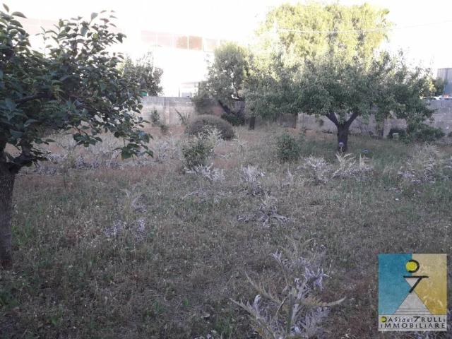 Terreno in vendita a Puglia, Brindisi