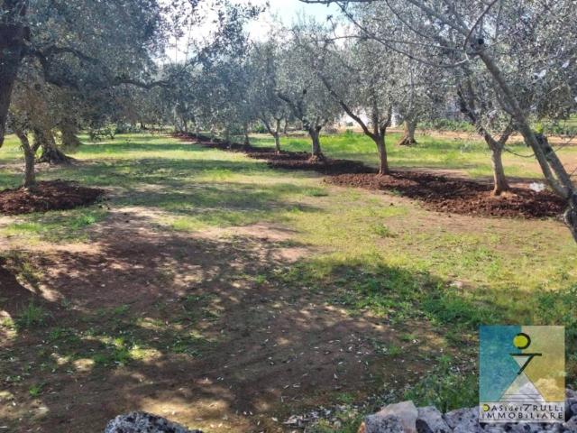 Terreno in vendita a Puglia, Brindisi