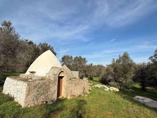 Terreno in vendita a Puglia, Brindisi