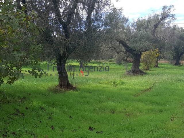Terreno in vendita a Puglia, Brindisi