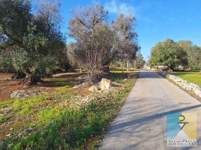 Terreno in vendita a Puglia, Brindisi