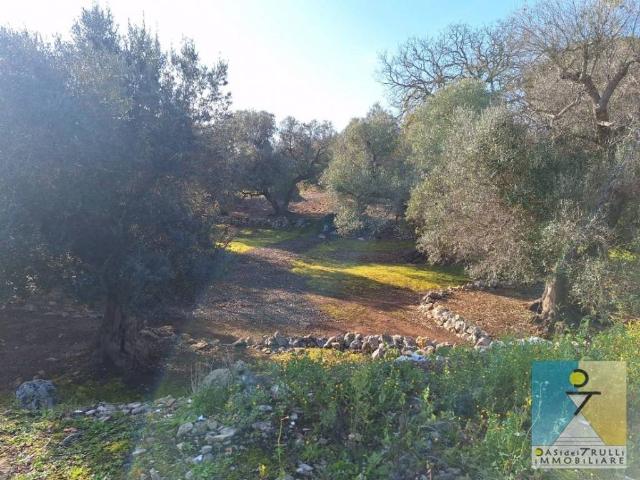Terreno in vendita a Puglia, Brindisi
