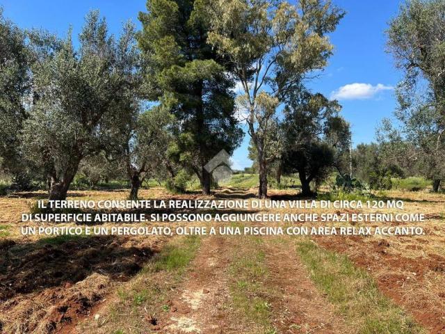 Terreno in vendita a Puglia, Brindisi
