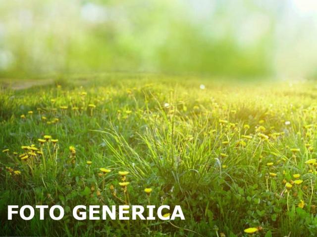 Terreno in vendita a Catena, San Miniato