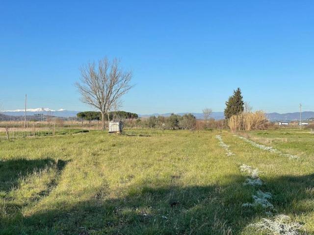Terreno in vendita a San Miniato, Toscana