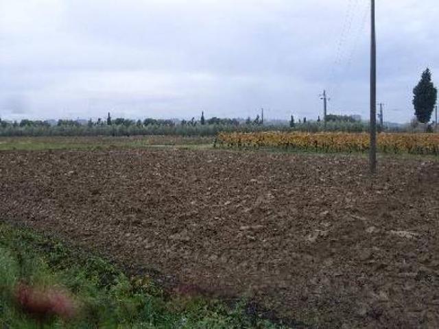 Terreno in vendita a Catena, San Miniato