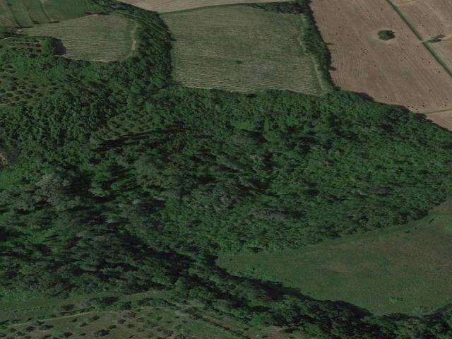 Terreno in vendita a San Miniato, Toscana