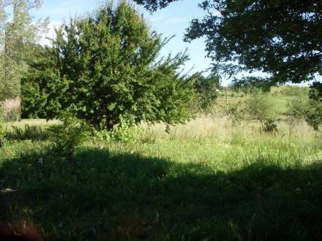 Terreno in vendita a San Miniato, Toscana