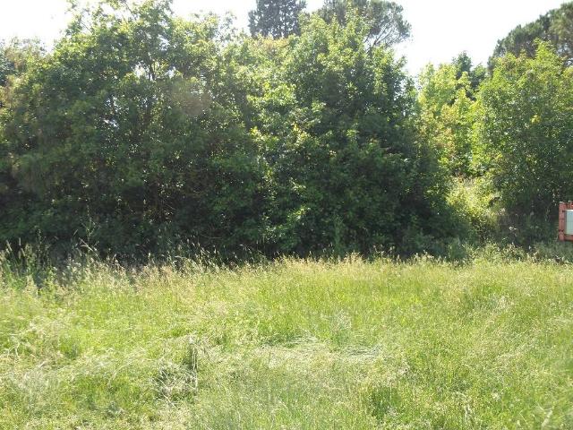 Terreno in vendita a La Scala, San Miniato