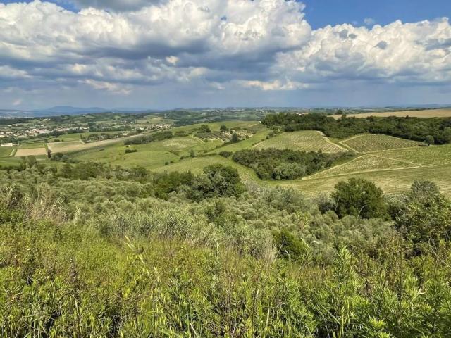 Terreno in vendita a Calenzano Primo, San Miniato