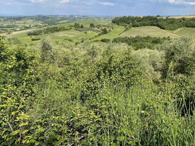 Terreno in vendita a Calenzano Primo, San Miniato