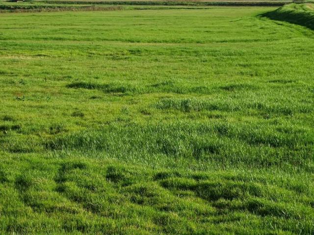 Terreno in vendita a La Scala, San Miniato