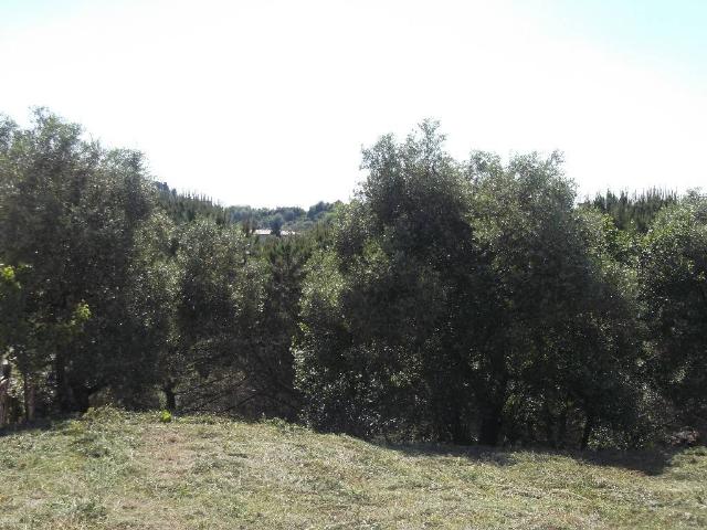 Terreno in vendita a La Scala, San Miniato