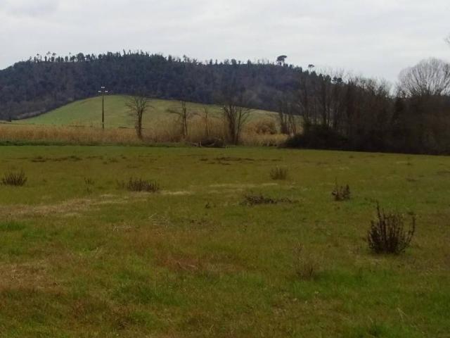 Terreno in vendita a San Miniato, Toscana