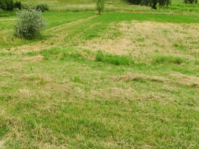 Terreno in vendita a San Miniato, Toscana