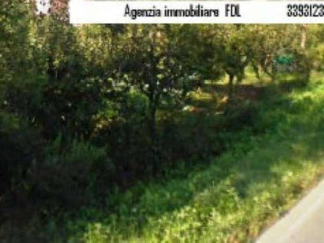 Terreno in vendita a Montopoli In Val D'arno, Toscana