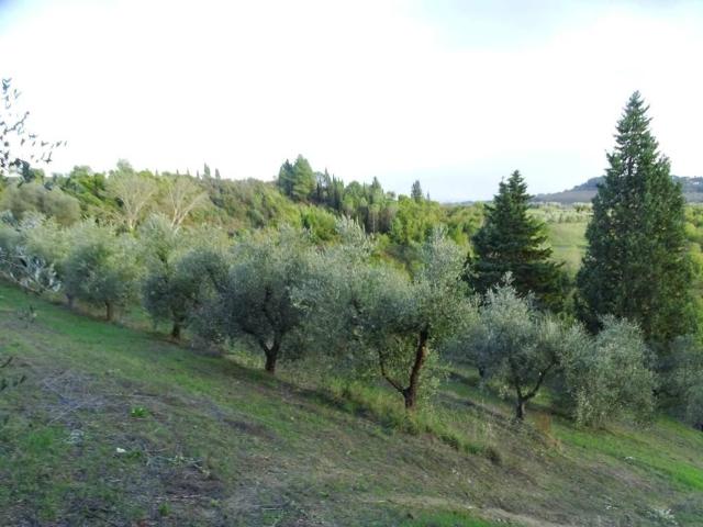 Terreno in vendita a Calenzano Primo, San Miniato
