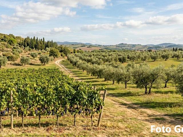 Terreno in vendita a La Scala, San Miniato