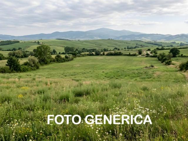 Terreno in vendita a San Miniato, Toscana