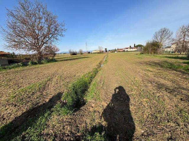 Terreno in vendita a Molino d'Egola, San Miniato