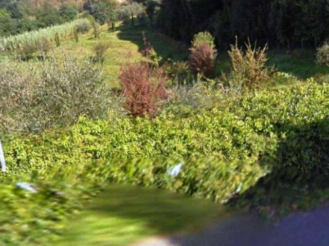 Terreno in vendita a San Miniato, Toscana