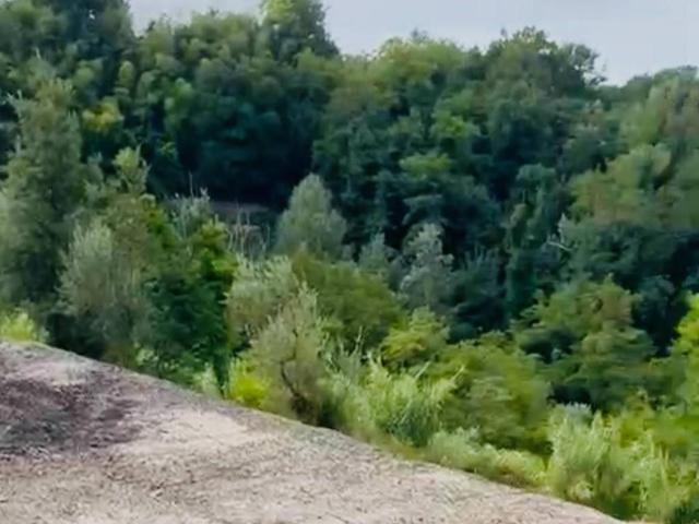 Terreno in vendita a San Miniato, Toscana