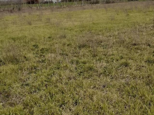 Terreno in vendita a San Miniato, Toscana