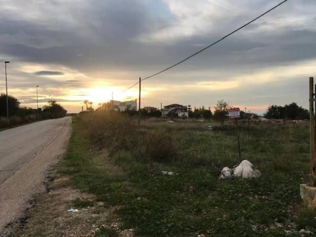 Terreno in vendita a Puglia, Foggia