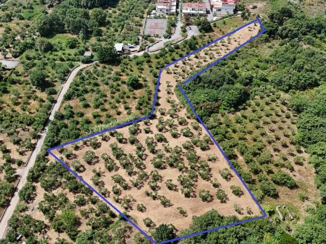 Terreno in vendita a Semaforo, Calabria