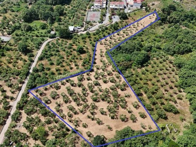 Terreno in vendita a Calabria, Cosenza