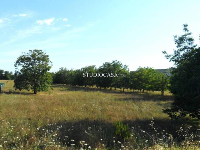 Terreno in vendita a San Nicola La Strada, Campania