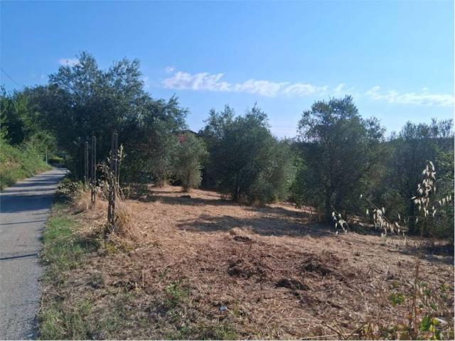 Terreno in vendita a San Nicola Manfredi, Campania