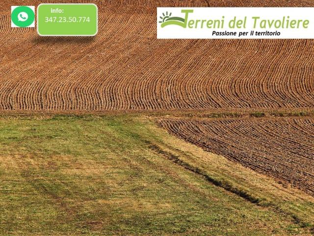 Terreno in vendita a Puglia, Foggia